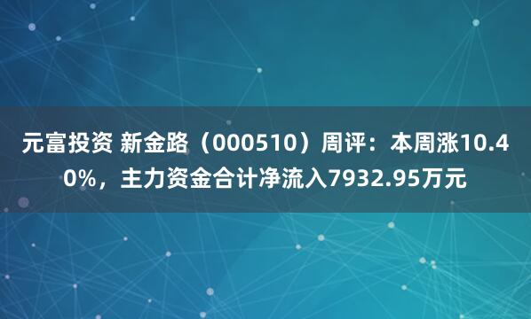 元富投资 新金路(000510)周评:本周涨10.40%,主力资金合计净流入7932.95万元