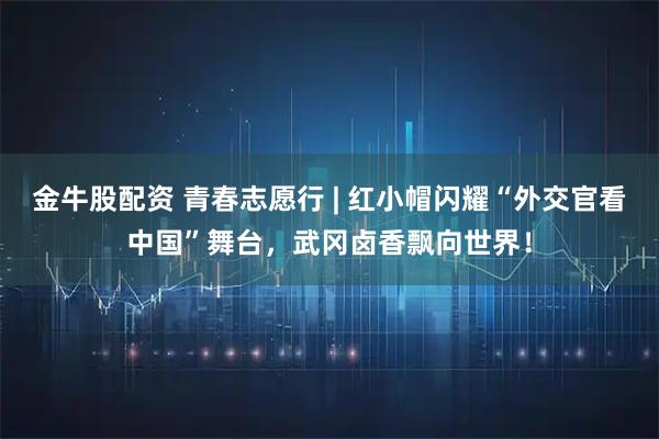 金牛股配资 青春志愿行 | 红小帽闪耀“外交官看中国”舞台,武冈卤香飘向世界!