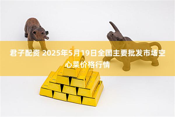 君子配资 2025年5月19日全国主要批发市场空心菜价格行情