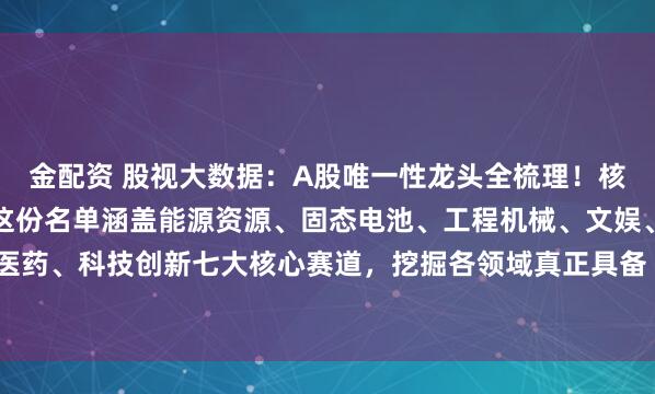 金配资 股视大数据：A股唯一性龙头全梳理！核心标的值得硬核收藏！这份名单涵盖能源资源、固态电池、工程机械、文娱、消费、生物医药、科技创新七大核心赛道，挖掘各领域真正具备“唯一性”的龙头企业。硬核逻辑，一...