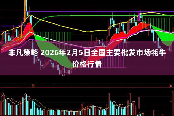 非凡策略 2026年2月5日全国主要批发市场牦牛价格行情